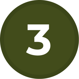 Group 8